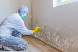 Best Environmental Consulting for Mold Prevention in Riverview, SC