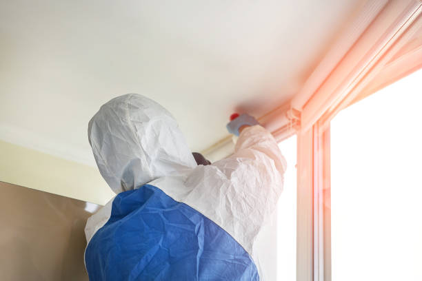 Best Commercial Mold Inspection in Riverview, SC