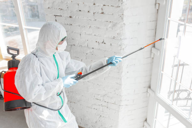 Professional Mold Removal in Riverview, SC