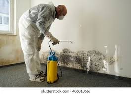 Best Mold Prevention Services in Riverview, SC